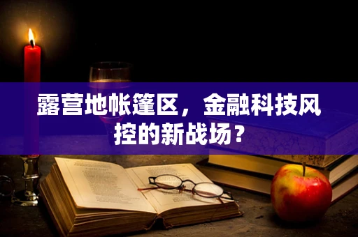露营地帐篷区，金融科技风控的新战场？