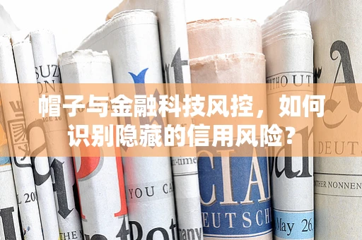 帽子与金融科技风控，如何识别隐藏的信用风险？