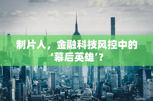 制片人，金融科技风控中的‘幕后英雄’？