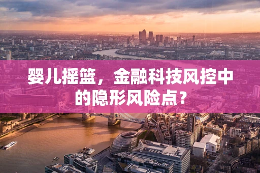 婴儿摇篮，金融科技风控中的隐形风险点？