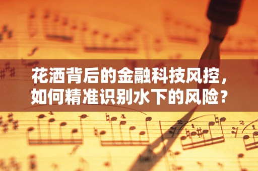 花洒背后的金融科技风控，如何精准识别水下的风险？