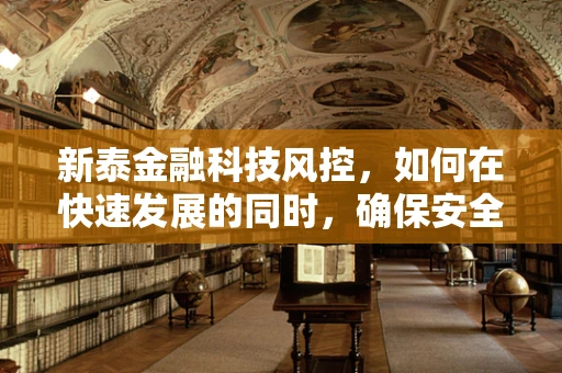 新泰金融科技风控，如何在快速发展的同时，确保安全与合规？