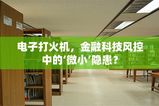 电子打火机，金融科技风控中的‘微小’隐患？
