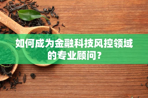 如何成为金融科技风控领域的专业顾问？