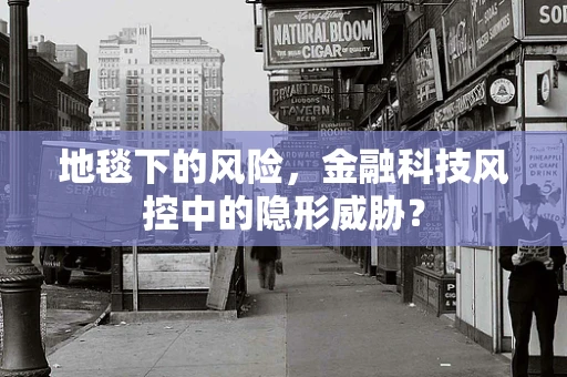 地毯下的风险，金融科技风控中的隐形威胁？