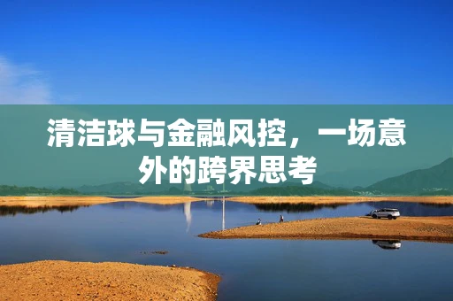 清洁球与金融风控，一场意外的跨界思考