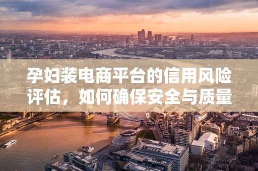孕妇装电商平台的信用风险评估，如何确保安全与质量？