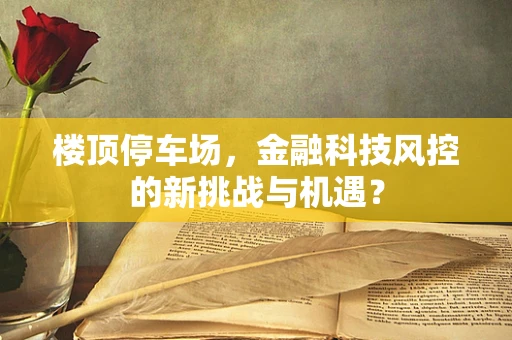 楼顶停车场，金融科技风控的新挑战与机遇？
