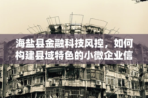 海盐县金融科技风控，如何构建县域特色的小微企业信贷风险评估模型？