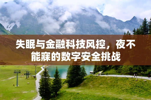 失眠与金融科技风控，夜不能寐的数字安全挑战