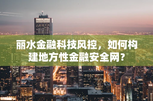 丽水金融科技风控，如何构建地方性金融安全网？