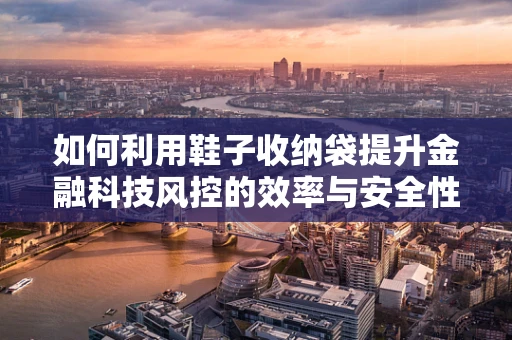 如何利用鞋子收纳袋提升金融科技风控的效率与安全性？