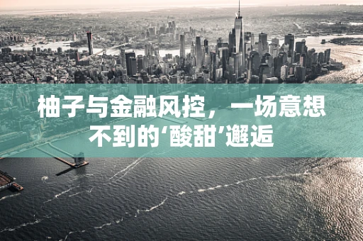 柚子与金融风控，一场意想不到的‘酸甜’邂逅