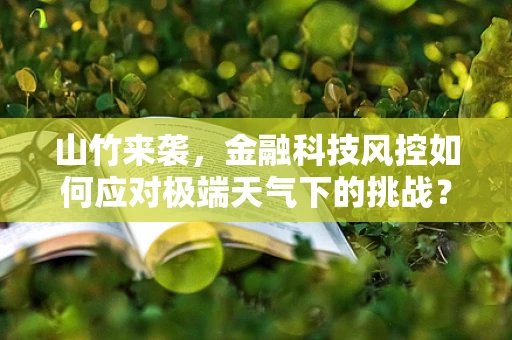 山竹来袭，金融科技风控如何应对极端天气下的挑战？