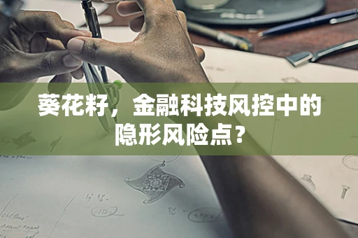 葵花籽，金融科技风控中的隐形风险点？