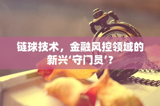 链球技术，金融风控领域的新兴‘守门员’？