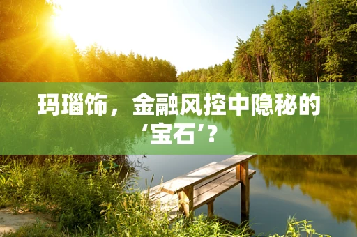 玛瑙饰，金融风控中隐秘的‘宝石’？