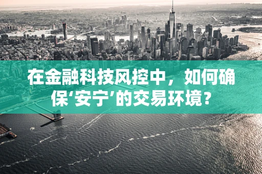 在金融科技风控中，如何确保‘安宁’的交易环境？