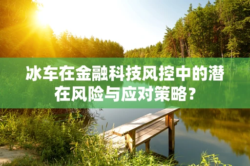 冰车在金融科技风控中的潜在风险与应对策略？