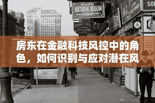 房东在金融科技风控中的角色，如何识别与应对潜在风险？