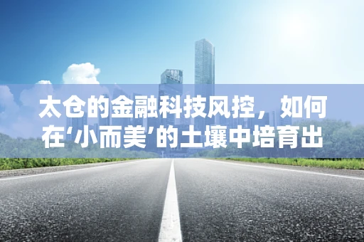太仓的金融科技风控，如何在‘小而美’的土壤中培育出大安全？