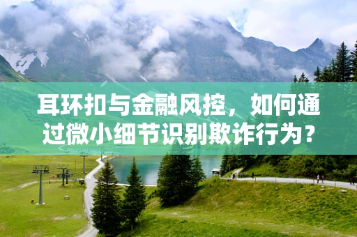 耳环扣与金融风控，如何通过微小细节识别欺诈行为？