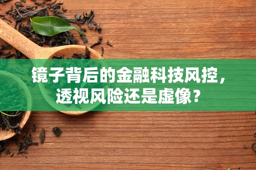 镜子背后的金融科技风控，透视风险还是虚像？