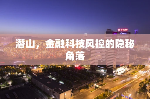 潜山，金融科技风控的隐秘角落