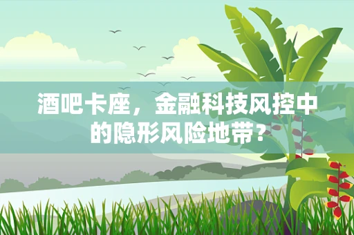 酒吧卡座，金融科技风控中的隐形风险地带？