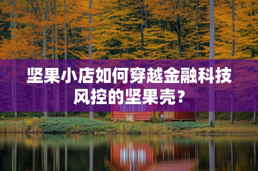 坚果小店如何穿越金融科技风控的坚果壳？