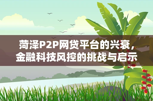 菏泽P2P网贷平台的兴衰，金融科技风控的挑战与启示