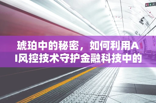琥珀中的秘密，如何利用AI风控技术守护金融科技中的‘时间胶囊’？