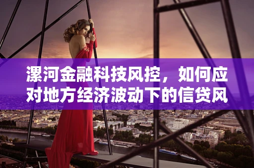 漯河金融科技风控，如何应对地方经济波动下的信贷风险？