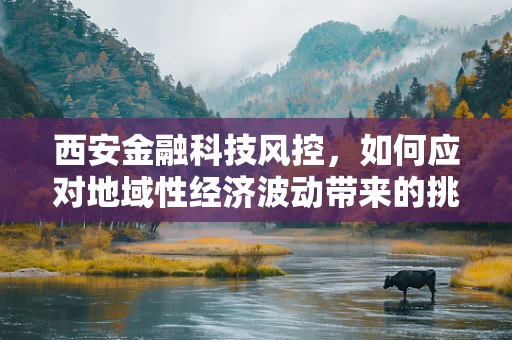 西安金融科技风控，如何应对地域性经济波动带来的挑战？