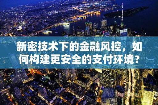 新密技术下的金融风控，如何构建更安全的支付环境？