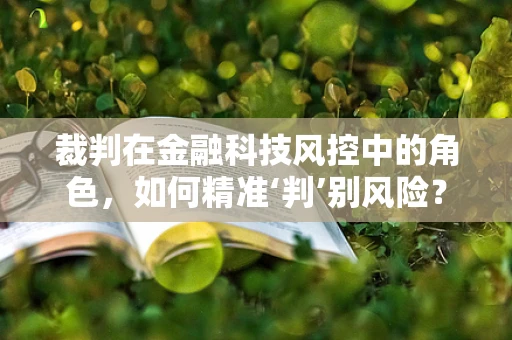 裁判在金融科技风控中的角色，如何精准‘判’别风险？