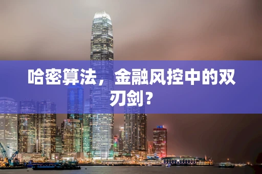 哈密算法，金融风控中的双刃剑？