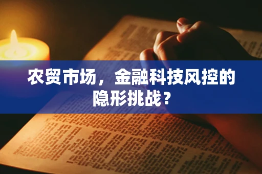 农贸市场，金融科技风控的隐形挑战？