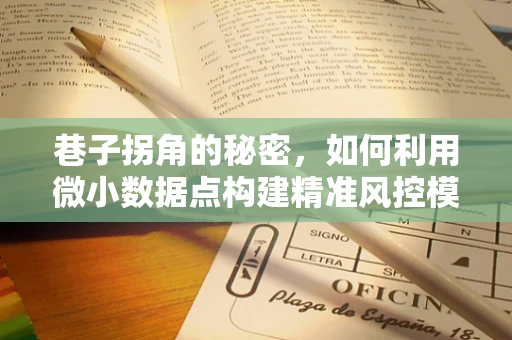 巷子拐角的秘密，如何利用微小数据点构建精准风控模型？
