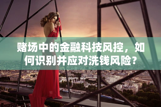 赌场中的金融科技风控，如何识别并应对洗钱风险？