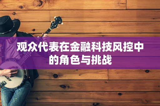 观众代表在金融科技风控中的角色与挑战