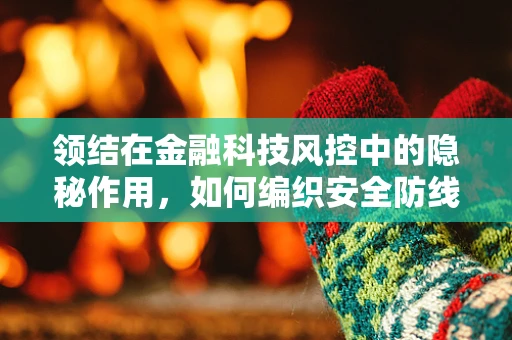 领结在金融科技风控中的隐秘作用，如何编织安全防线？