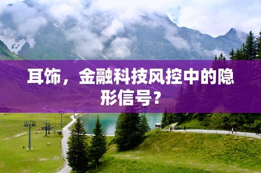 耳饰，金融科技风控中的隐形信号？