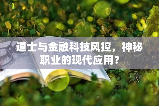 道士与金融科技风控，神秘职业的现代应用？