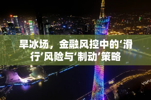 旱冰场，金融风控中的‘滑行’风险与‘制动’策略