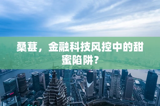 桑葚，金融科技风控中的甜蜜陷阱？
