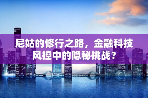 尼姑的修行之路，金融科技风控中的隐秘挑战？