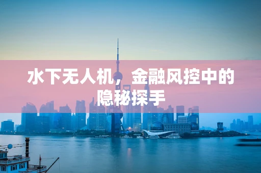 水下无人机，金融风控中的隐秘探手