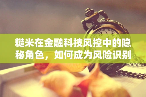 糙米在金融科技风控中的隐秘角色，如何成为风险识别的‘侦探’？