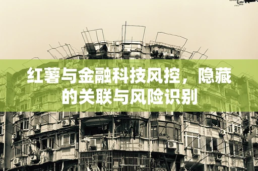 红薯与金融科技风控，隐藏的关联与风险识别